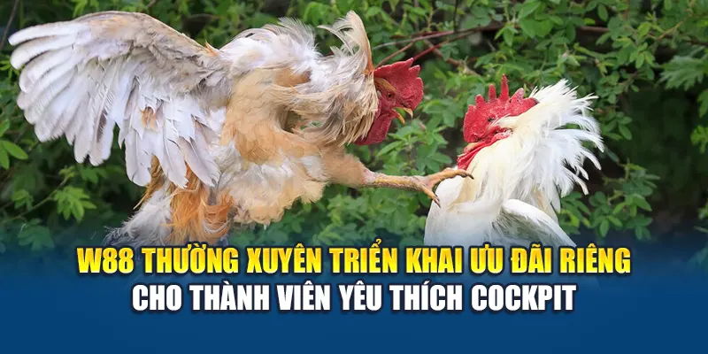 W88 thường xuyên triển khai ưu đãi riêng cho thành viên yêu thích Cockpit